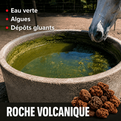 ÉQUIBOX - Purificateur d'eau