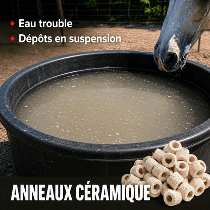 ÉQUIBOX - Purificateur d'eau